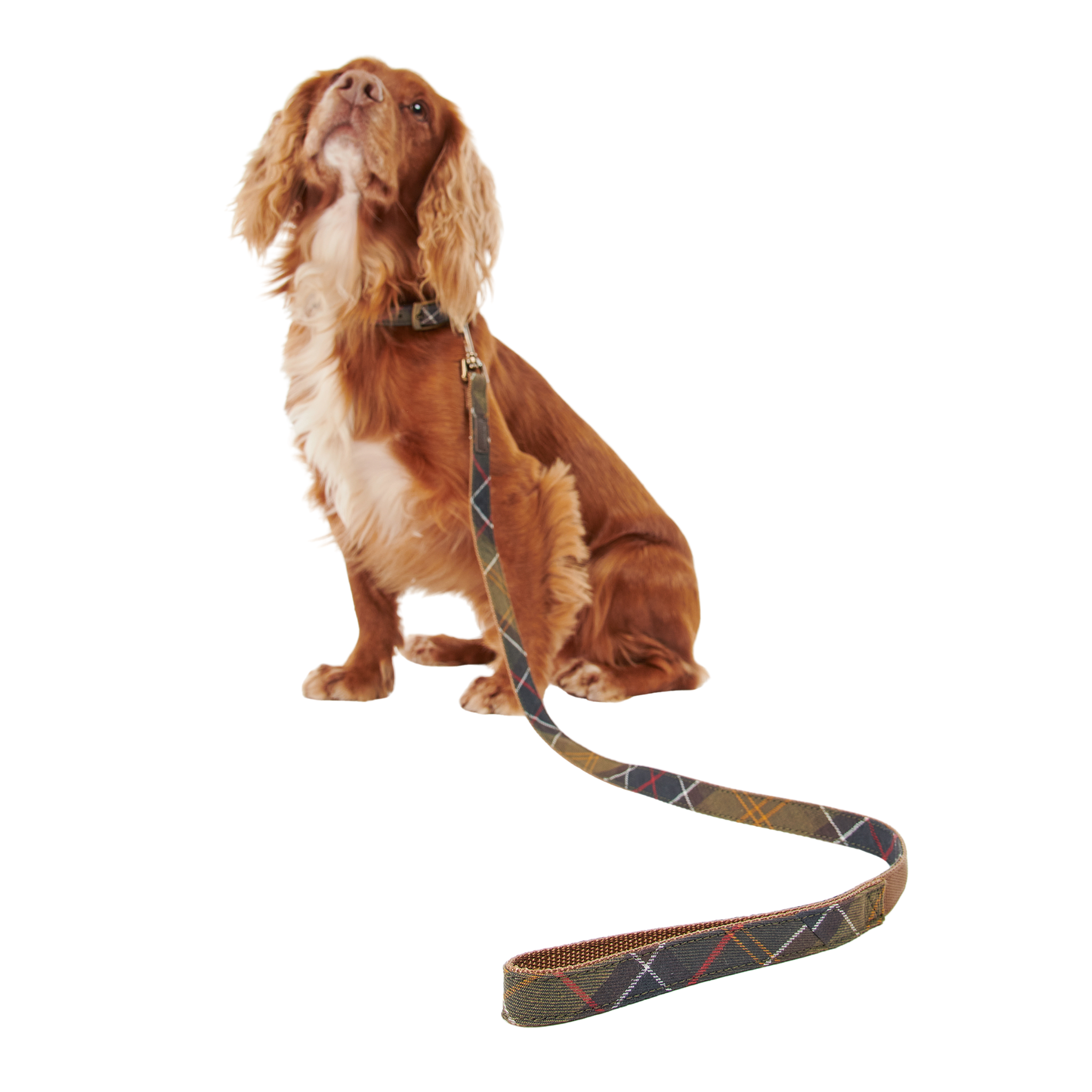 Barbour Classic Tartan/Webbing Dog Lead