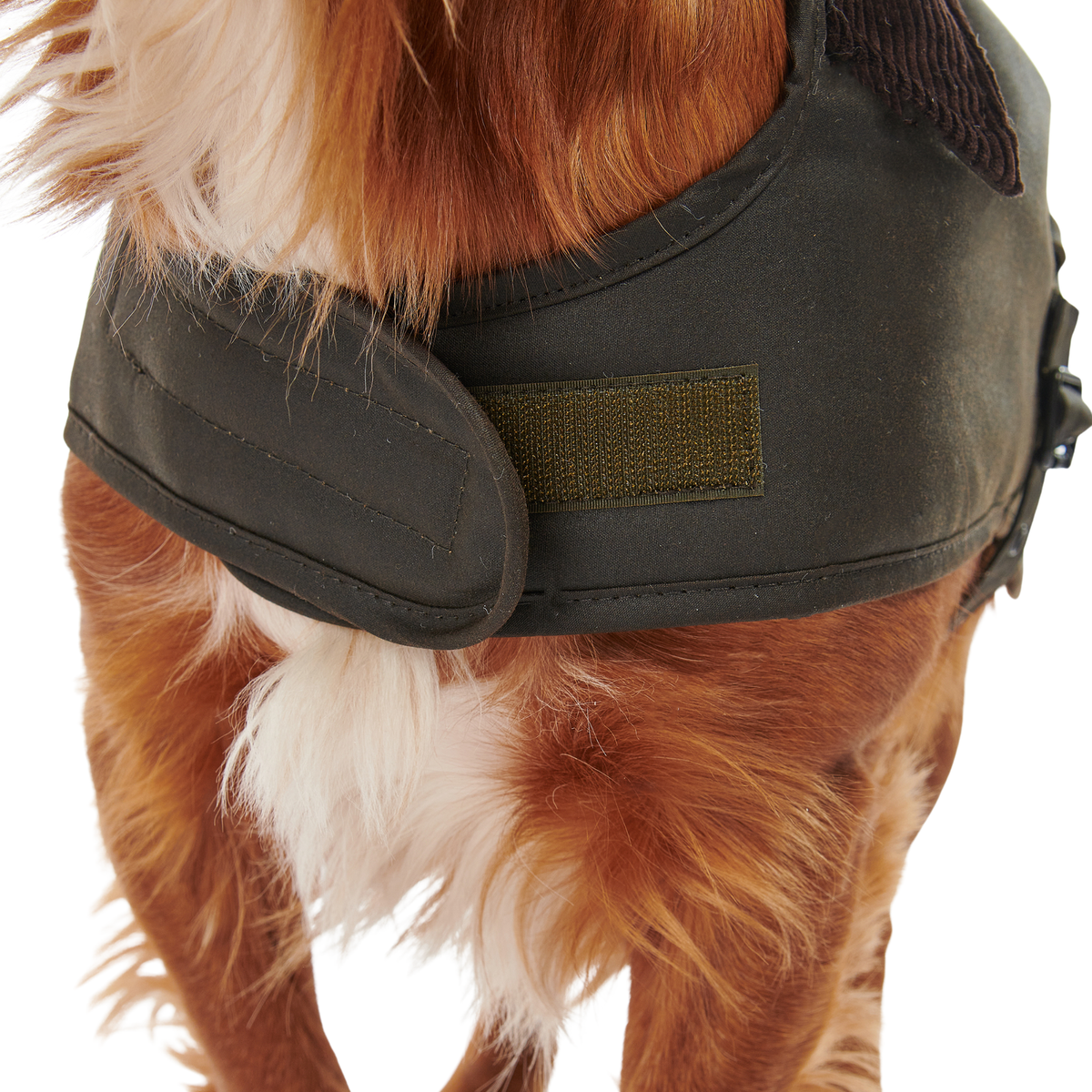 Barbour Wax Dog Coat Olive