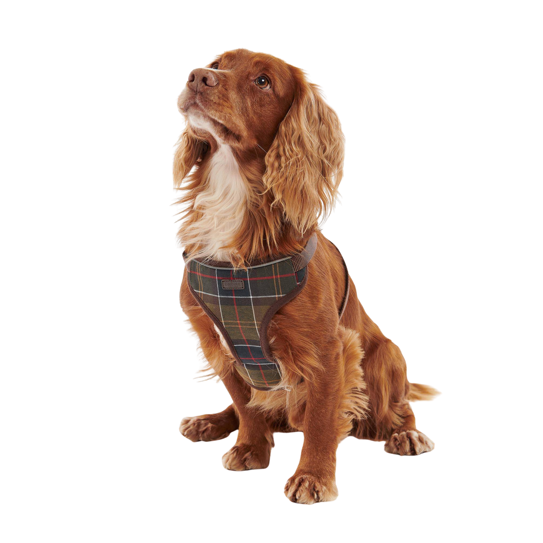 Barbour Travel & Exercise Dog Harness Classic Tartan