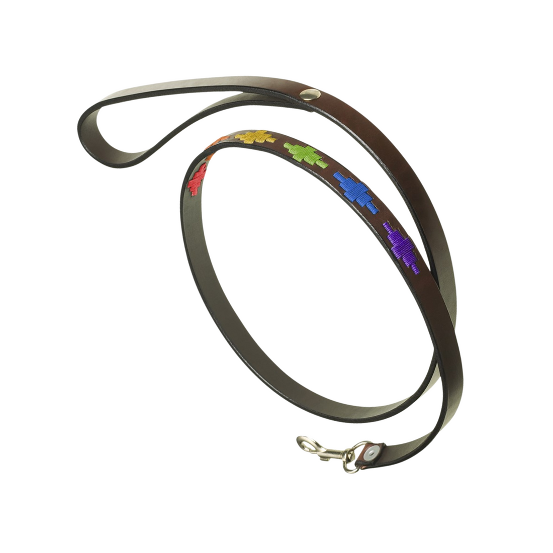 Dog Lead Igualdad Skinny