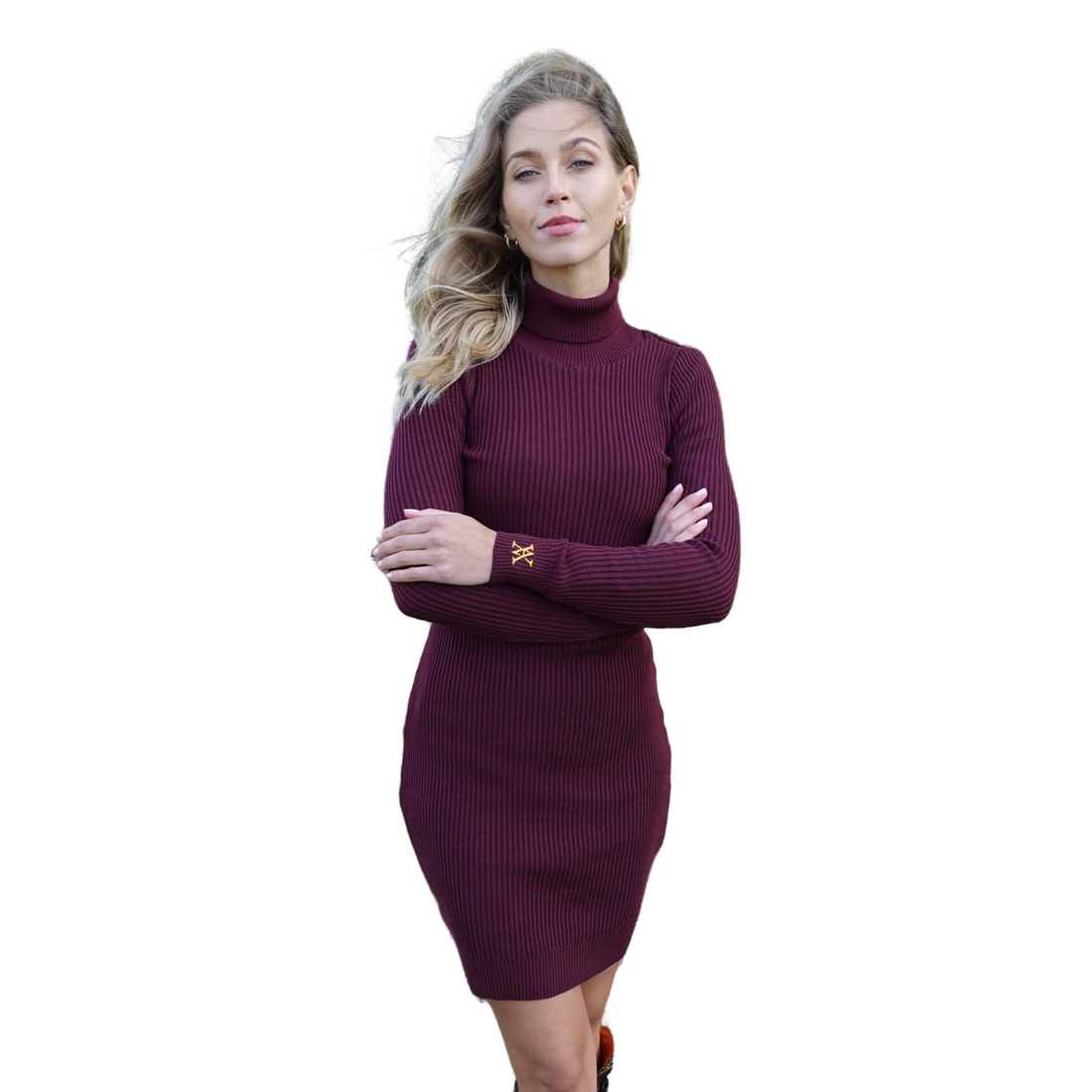 Richmond Dress Maroon
