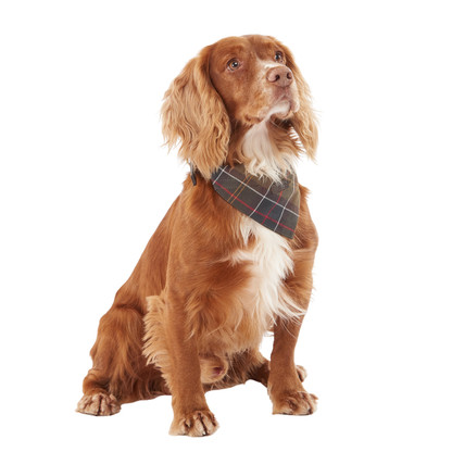 Barbour Tartan Dog Bandana