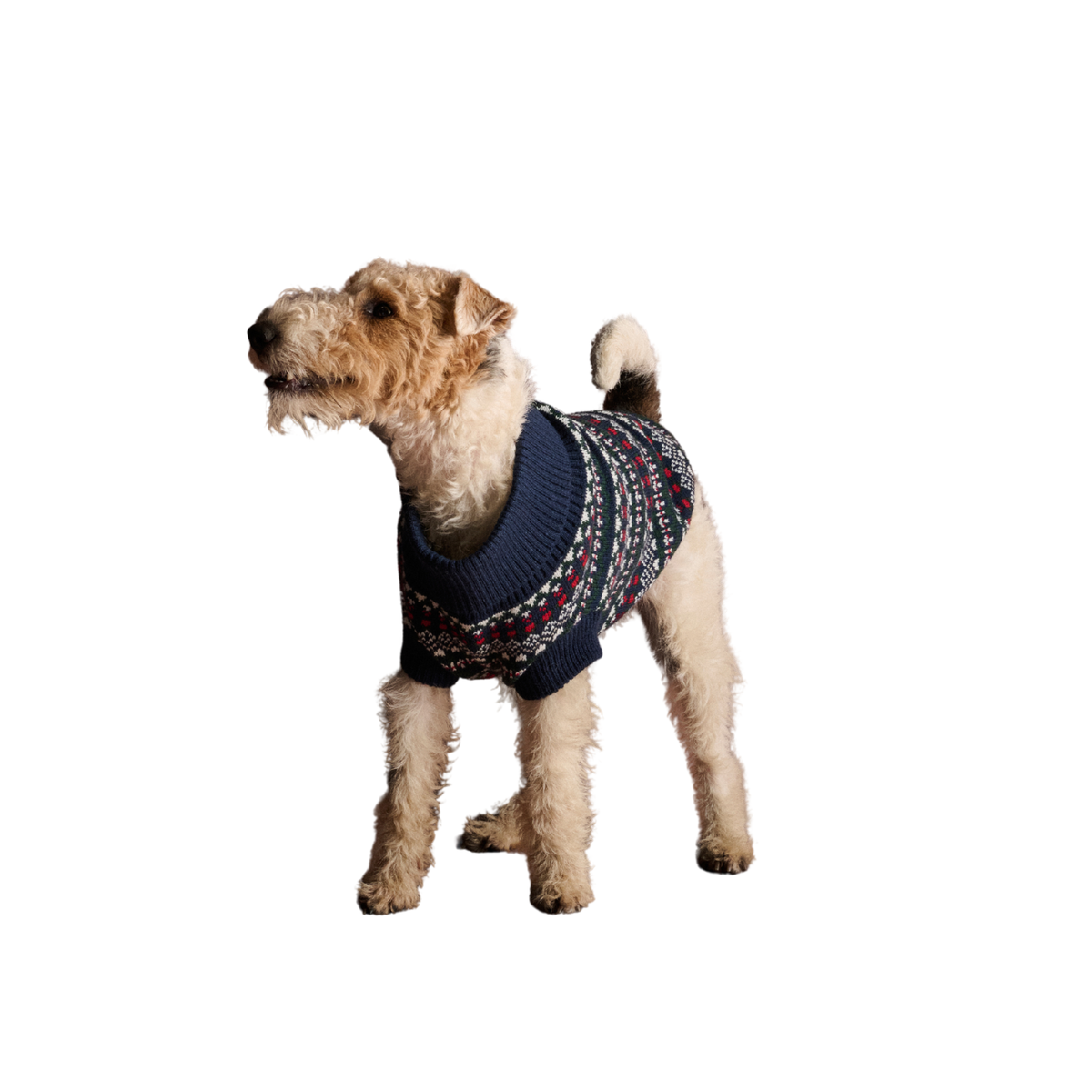 Marlow Fair Isle Dog Jumper Navy Festive