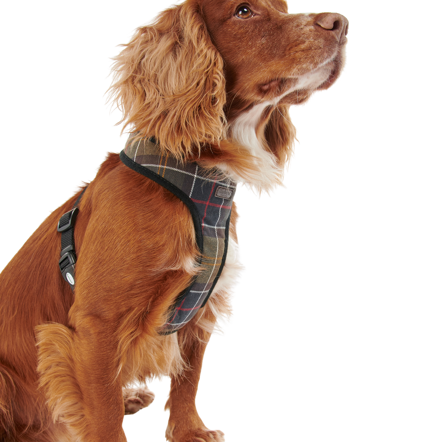 Barbour Classic Tartan Dog Harness