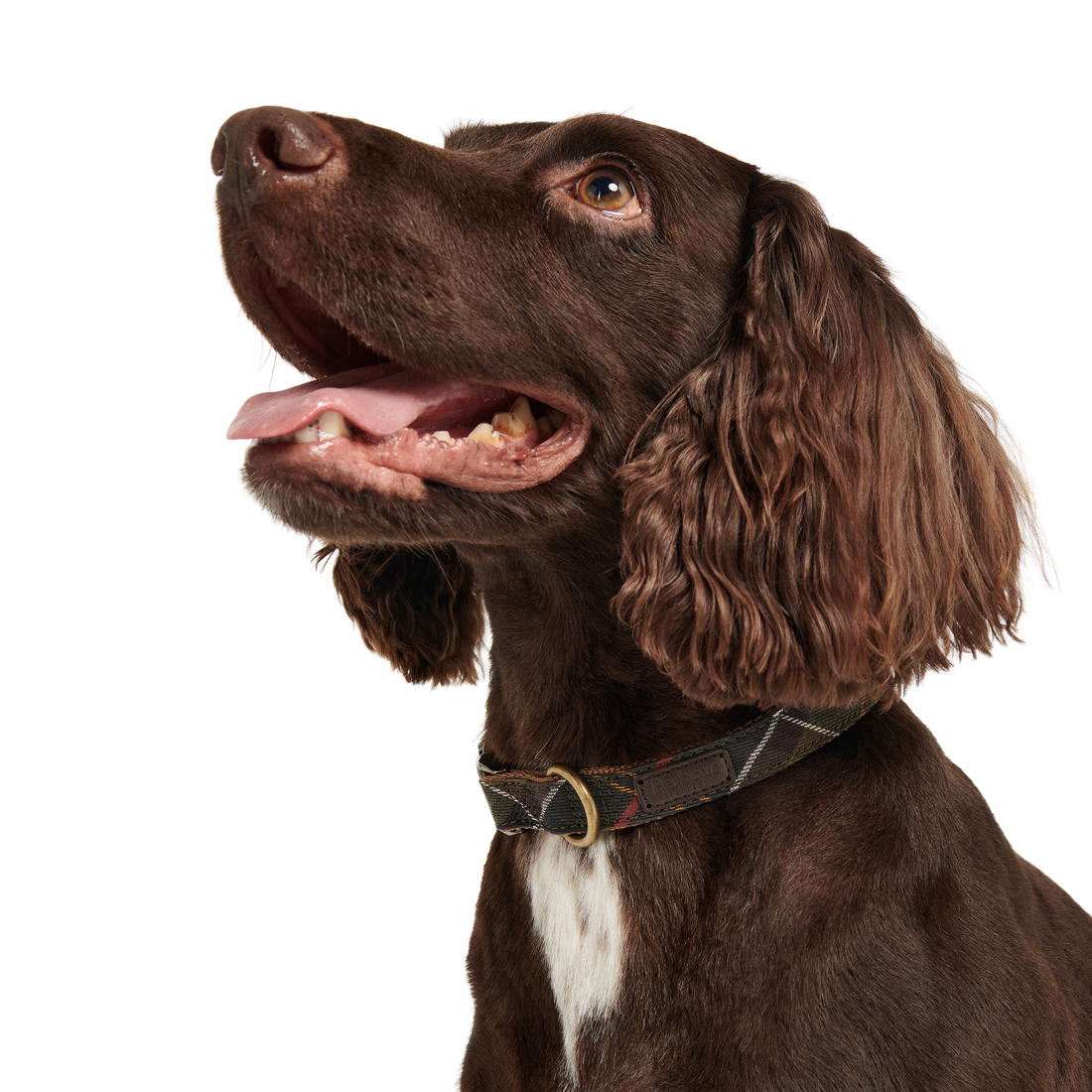 Barbour Classic Tartan/Webbing Dog Collar