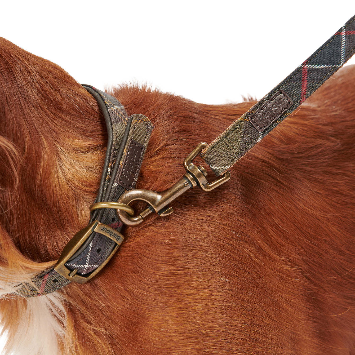 Barbour Classic Tartan/Webbing Dog Lead