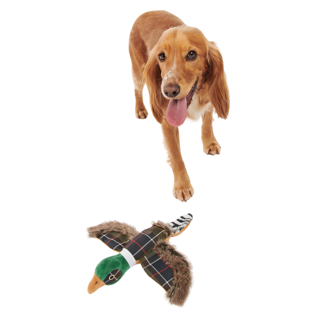 Barbour Pheasant Dog Toy