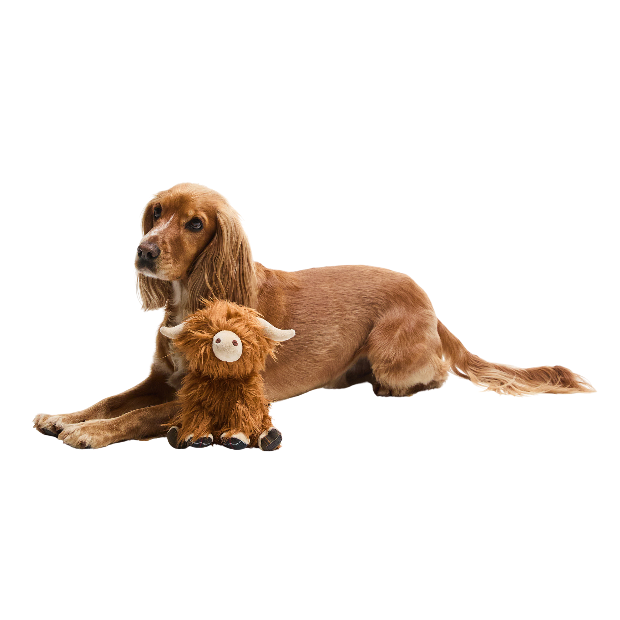 Barbour Highland Cow Dog Toy