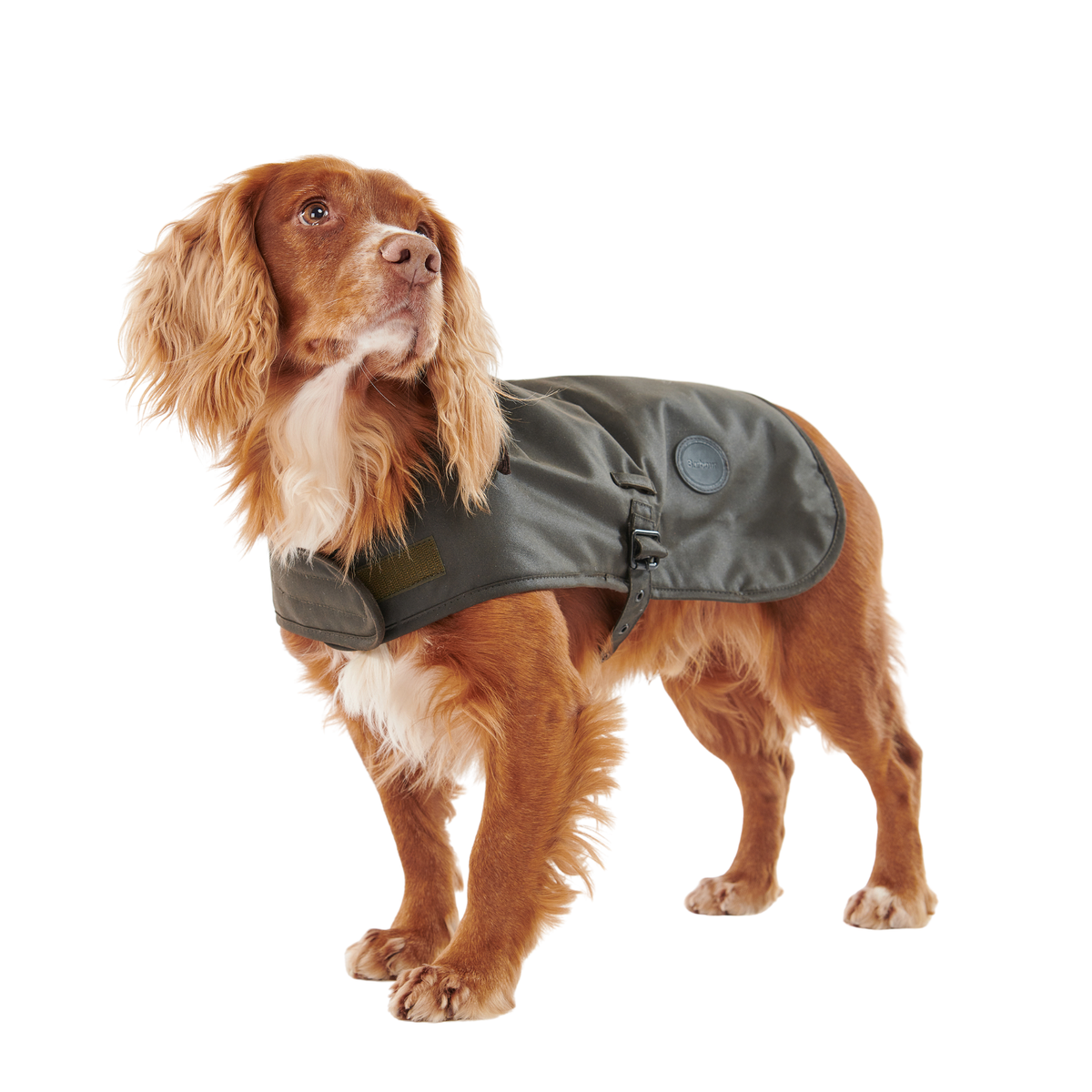 Barbour Wax Dog Coat Olive