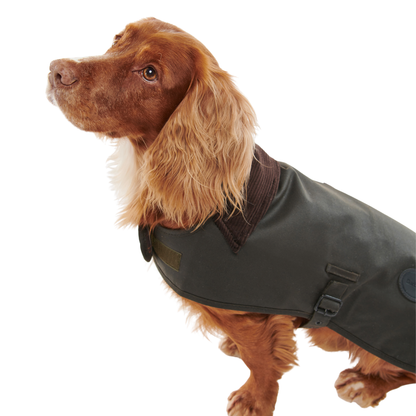 Barbour Wax Dog Coat Olive