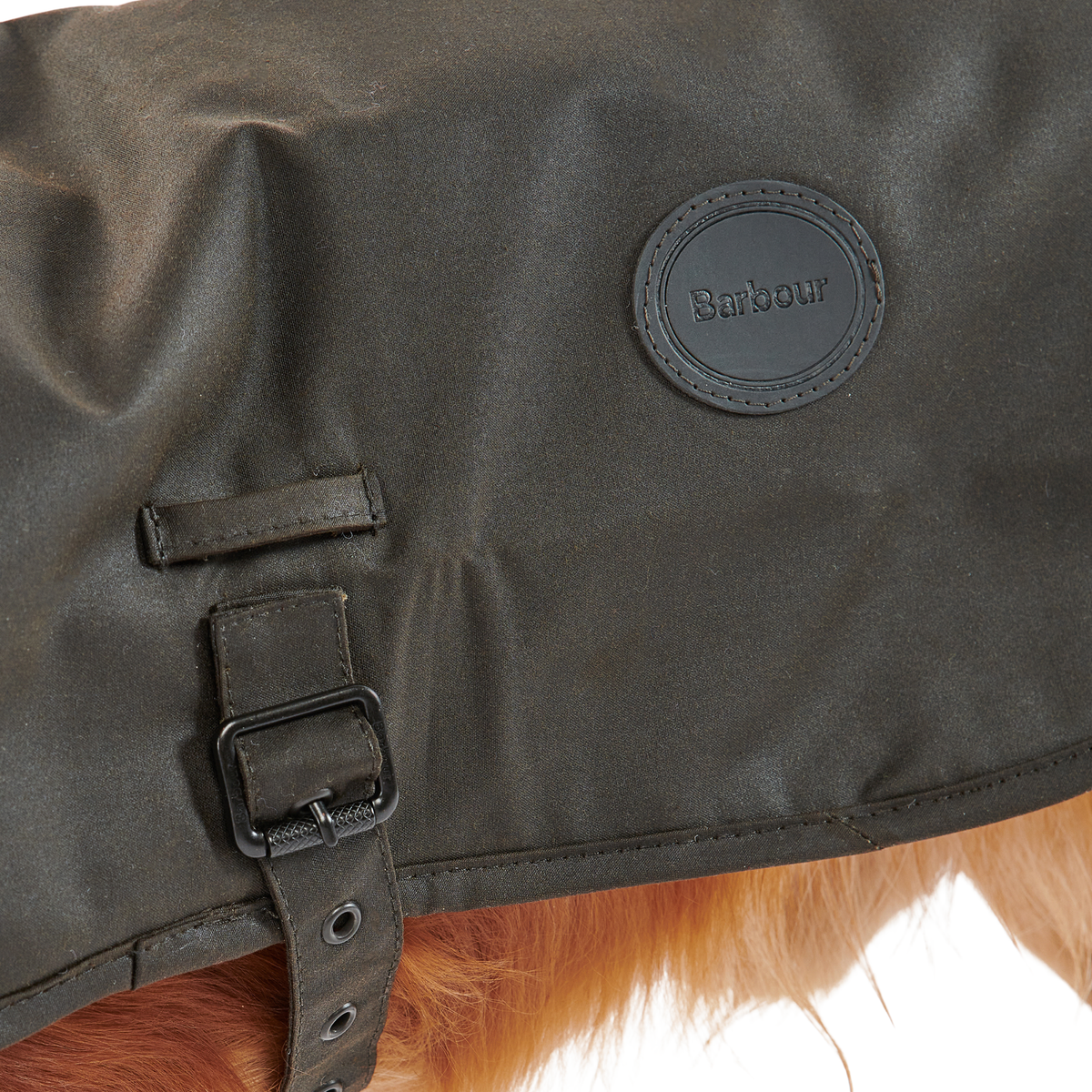 Barbour Wax Dog Coat Olive