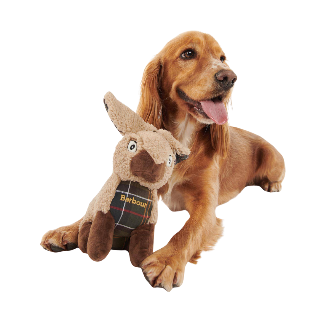 Barbour Rabbit Dog Toy