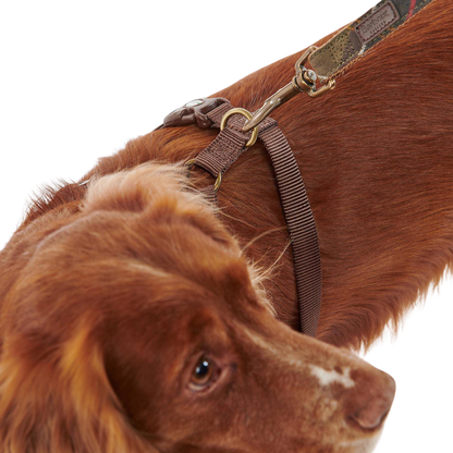 Barbour Travel &amp; Exercise Dog Harness Classic Tartan