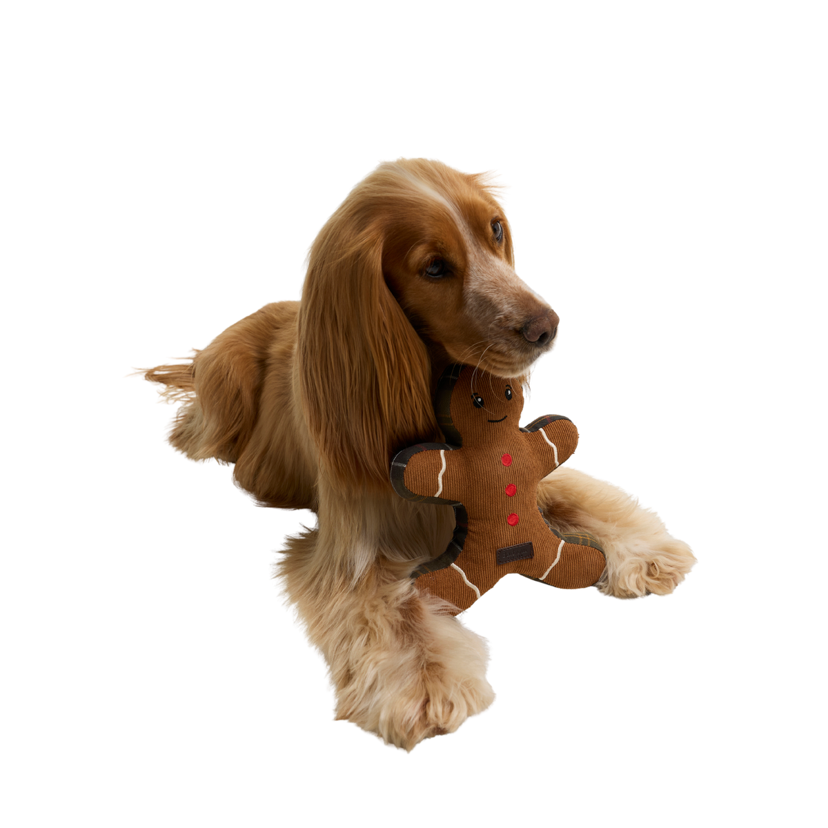 Barbour Dog Christmas Gingerbread Toy