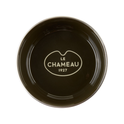 Stainless Steel Dog Bowl Vert Chameau