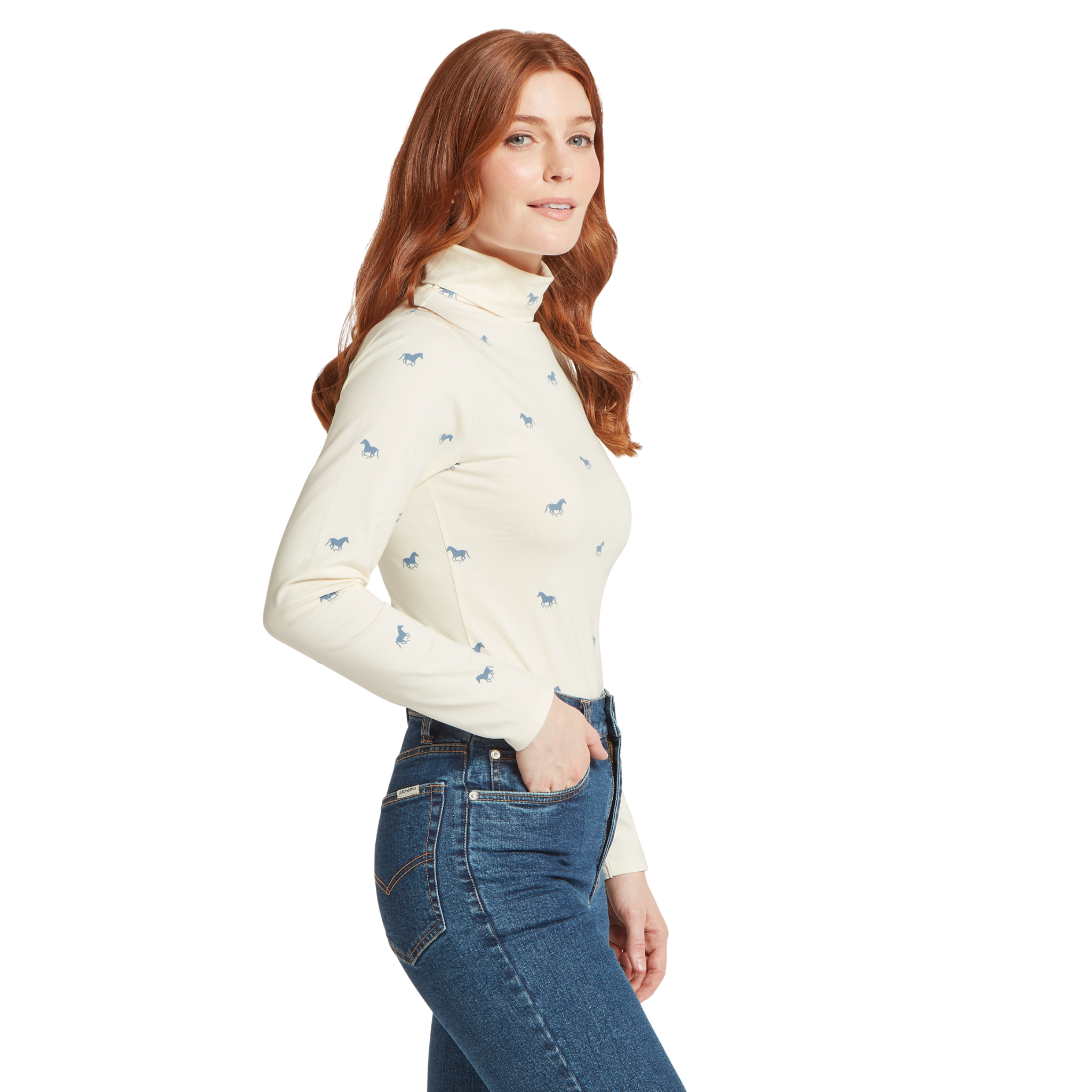 Malham Top Lake Blue Horse