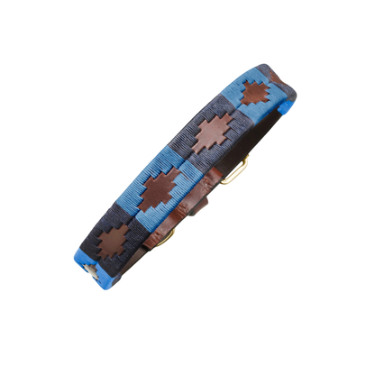 Dog Collar Azules