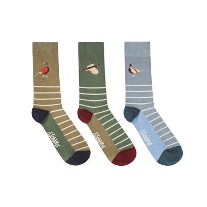 Bamboo Sock Box (Box Of 3) Lake Blue Pheasant Mix UK7-11