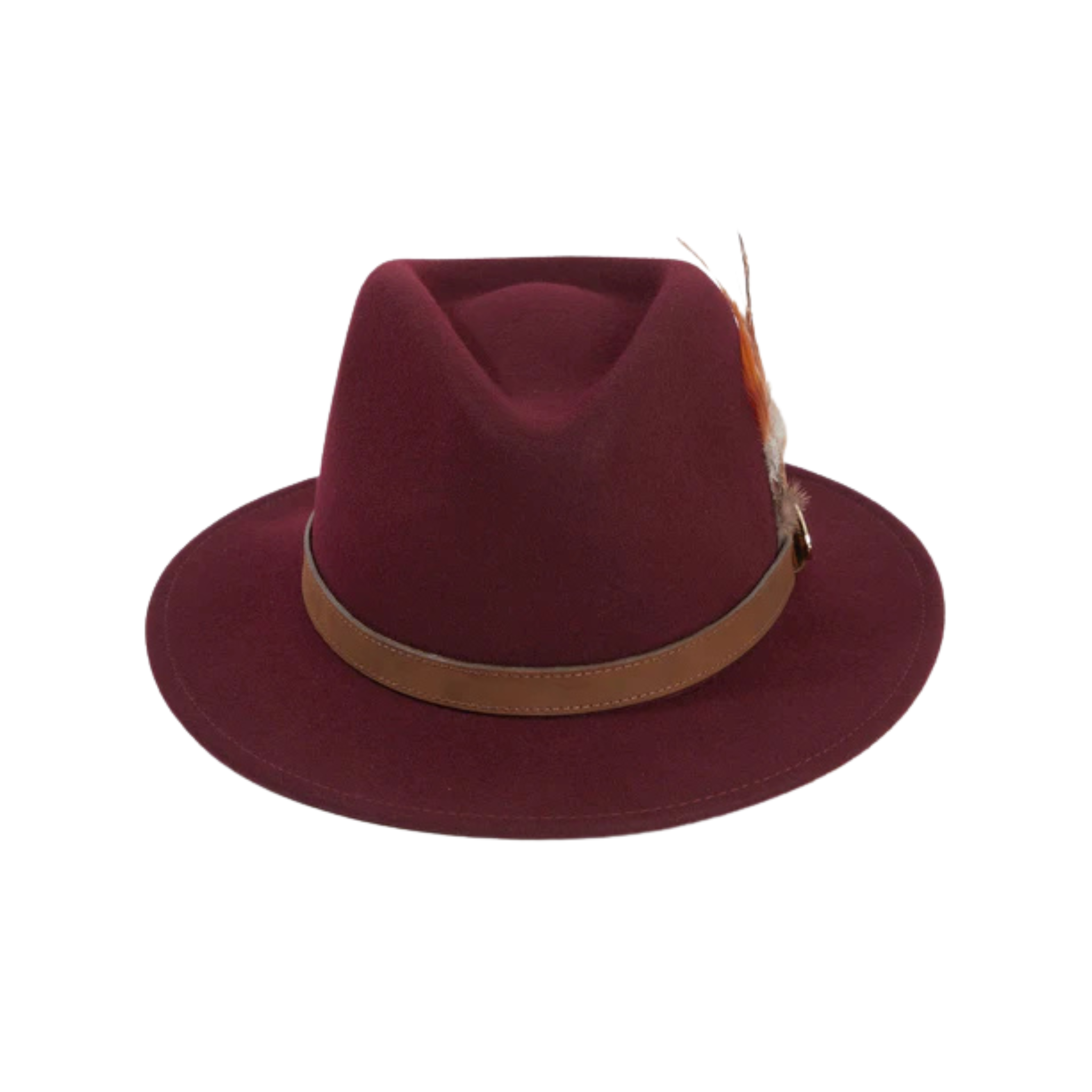 Suffolk Fedora In Plum (Bronze Feather)